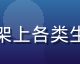 国产日用百货产品陈列，整洁货架上各类生活用品排列有序，色彩丰富温馨